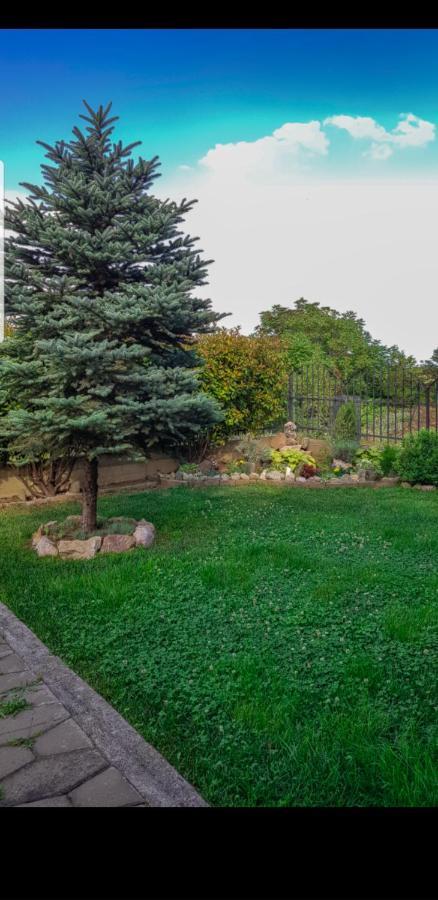 Apartment Dina Skopje Zewnętrze zdjęcie