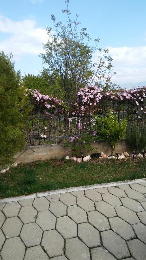 Apartment Dina Skopje Zewnętrze zdjęcie